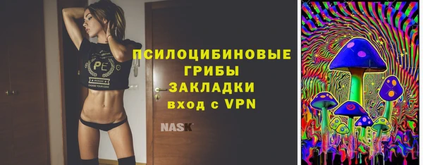 ешки Покачи