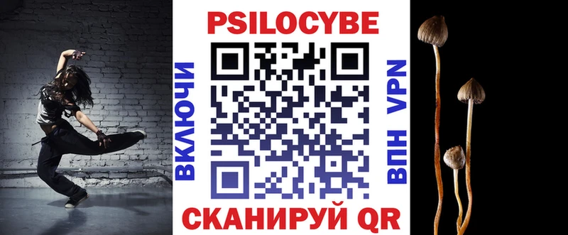 Псилоцибиновые грибы прущие грибы  Купить  Прохладный 